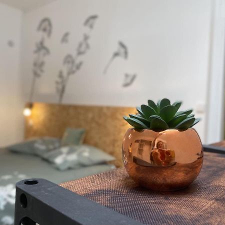 La maison d'Angélique Niort Extérieur photo